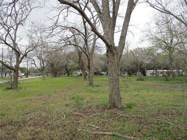 Oyster Creek, TX 77541,000 Allen Road Meadow