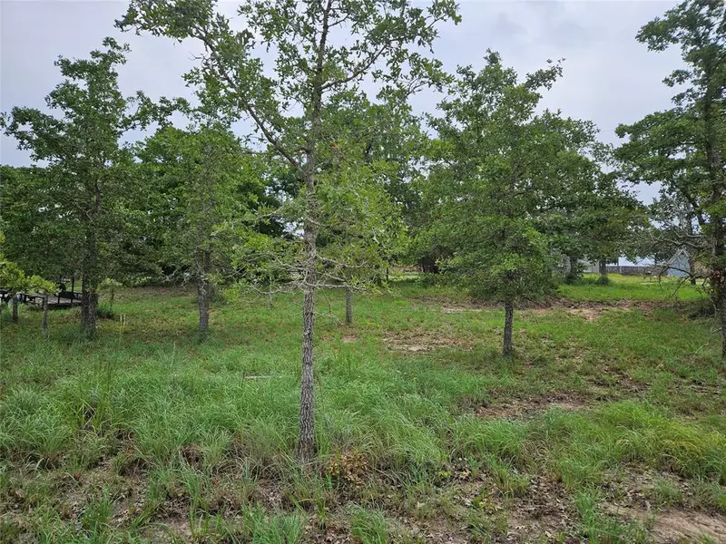 LOT 33 Apache DR, Somerville, TX 77879