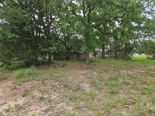 Somerville, TX 77879,LOT 33 Apache DR