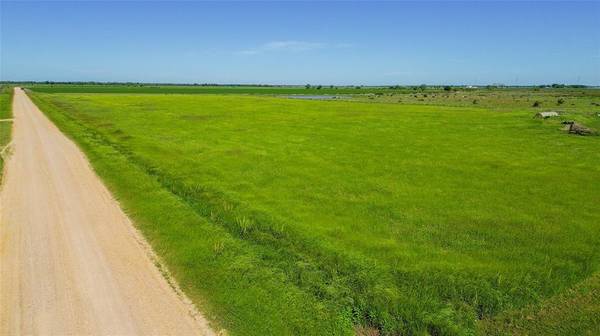 Louise, TX 77455,Lot 4 County Road 326