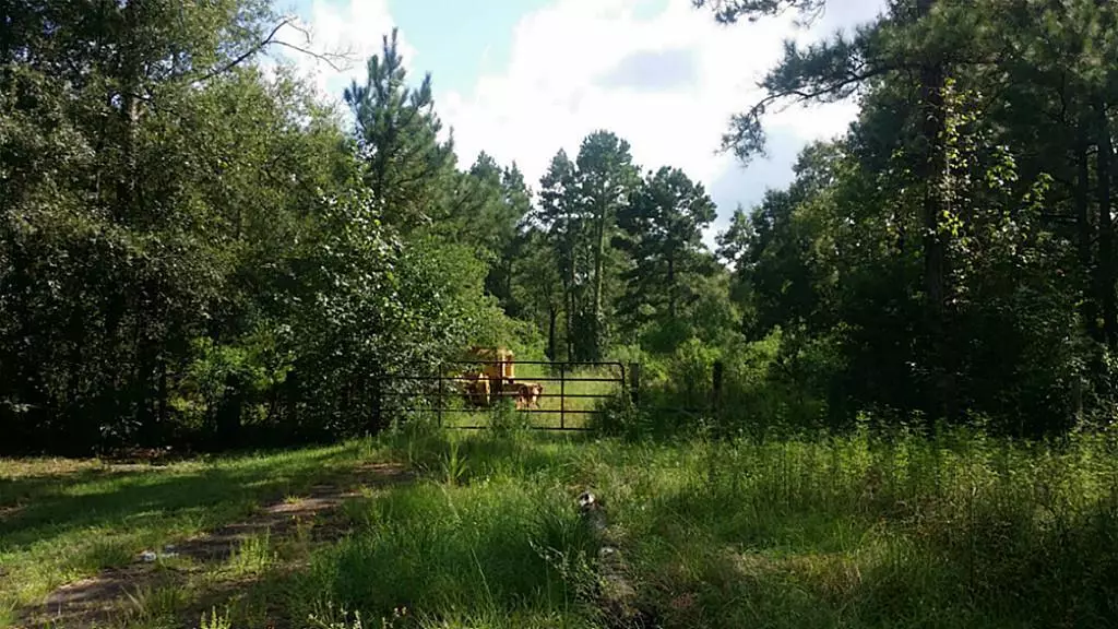 000 Firetower Rd, Conroe, TX 77301