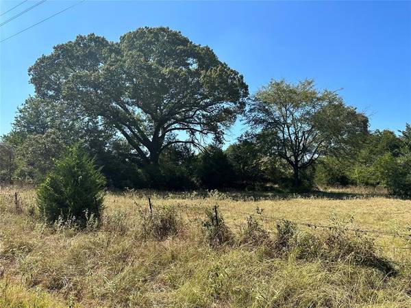 60AC CR 301, Buffalo, TX 75831