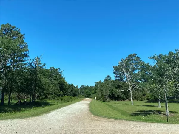 Hempstead, TX 77445,LOT 44 OWL DR