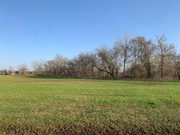 Rosharon, TX 77583,16635 Pecan Fall CT