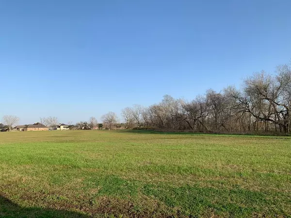 Rosharon, TX 77583,16635 Pecan Fall CT