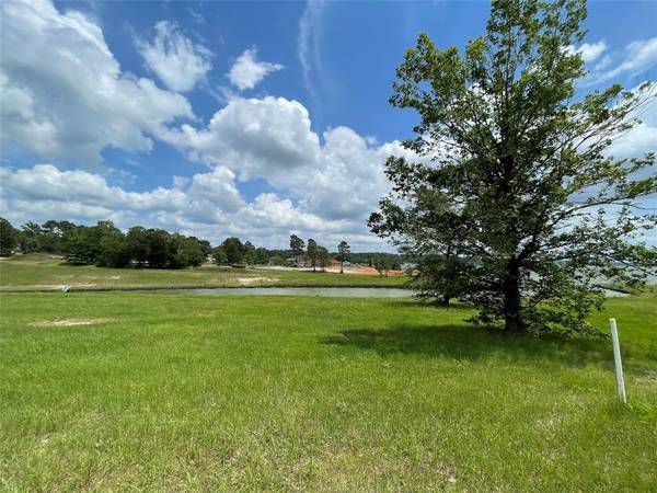 175 Peninsula Dr DR, Livingston, TX 77351