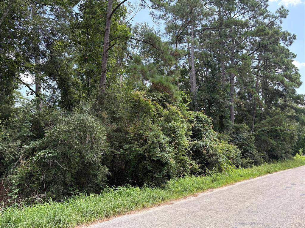Conroe, TX 77306,17321 Shadow LN