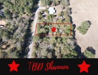 TBD Shannon ST, Hempstead, TX 77445