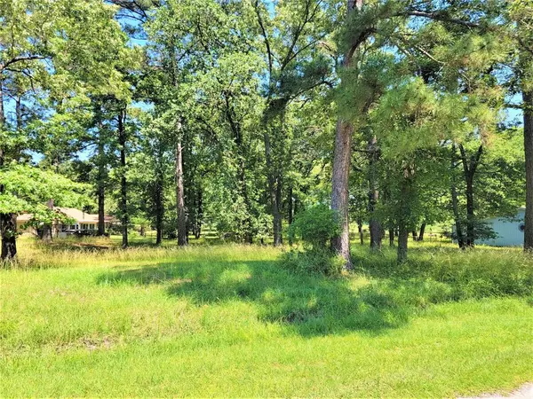 Trinity, TX 75862,Lot 18 Woodlands DR