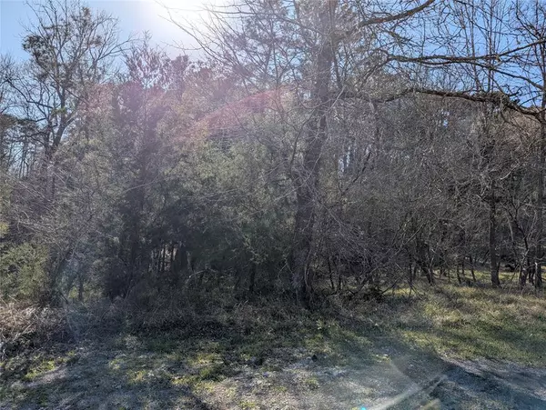 2 S Forest Cove LOOP, Coldspring, TX 77331