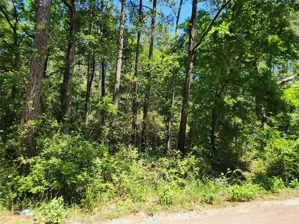 Plantersville, TX 77363,Lot 73 Pinebrook DR