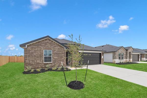 1011 Fringed Bluestar DR, Rosharon, TX 77583