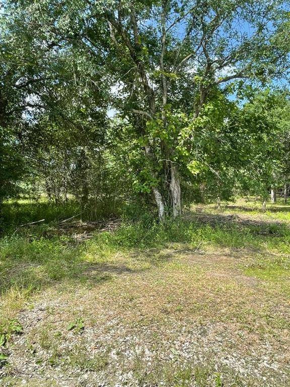 Bedias, TX 77831,25865 Bedias DR