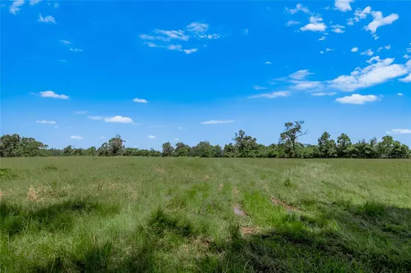 Kennard, TX 75847,TBD Neal Helton Road