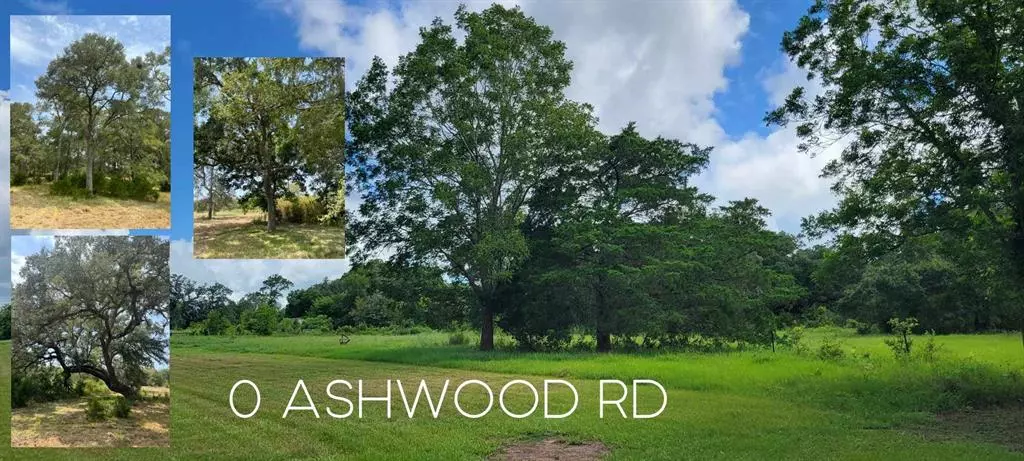 0 CR 112 ASHWOOD RD, Van Vleck, TX 77482