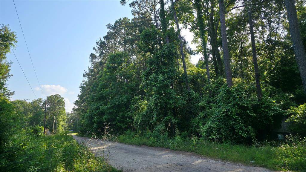 New Caney, TX 77357,19112 Durham CT
