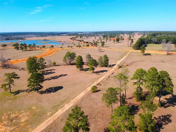 Hillister, TX 77624,TBD Lakeland Loop Lot 87