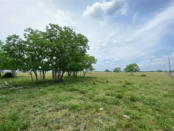 Rosharon, TX 77583,0 Lot 7, County Road 382