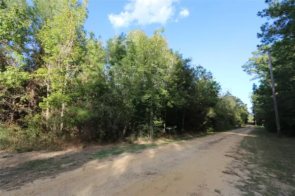 Kirbyville, TX 75956,TBD Co Road 541