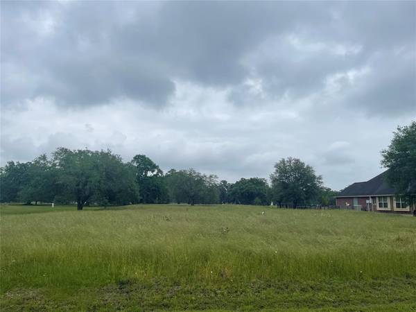 Angleton, TX 77515,1226 Arabian CT