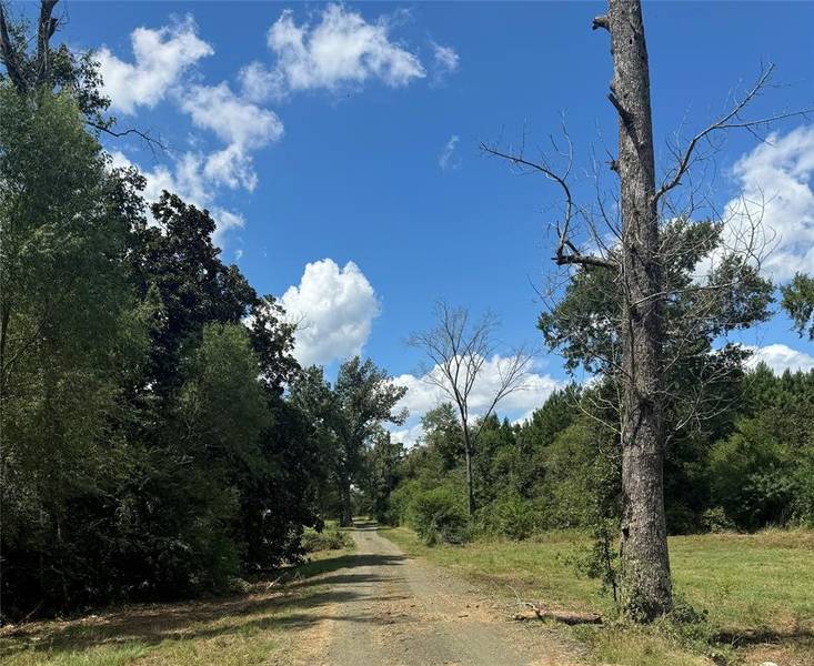 0124 County Road 1490, Center, TX 75935