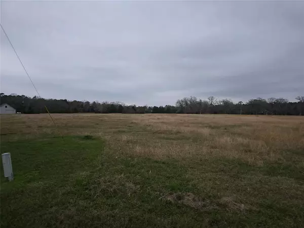 New Waverly, TX 77358,TBD 0 LOTS  1 & 2 LONGHORN LOOP