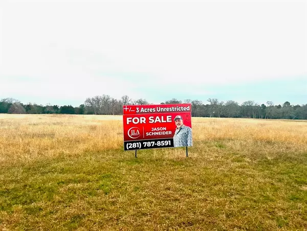 New Waverly, TX 77358,TBD 0 LOTS  1 & 2 LONGHORN LOOP