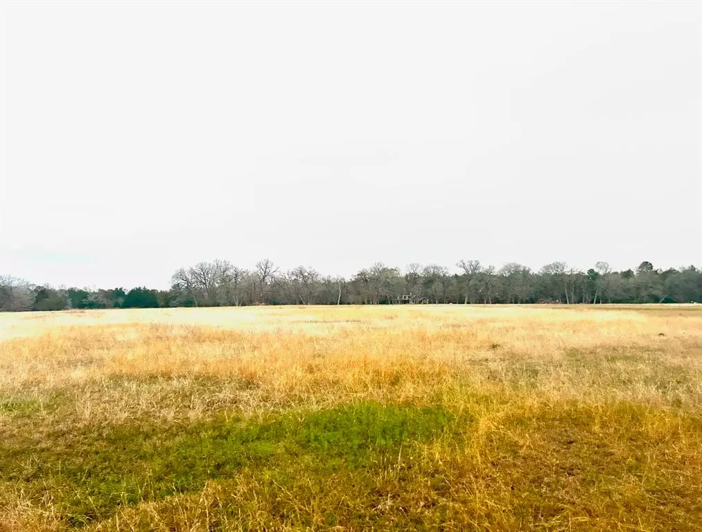 New Waverly, TX 77358,TBD 0 LOTS  1 & 2 LONGHORN LOOP