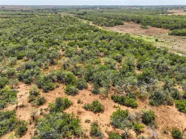 Floresville, TX 78114,Lot 18 CR 124