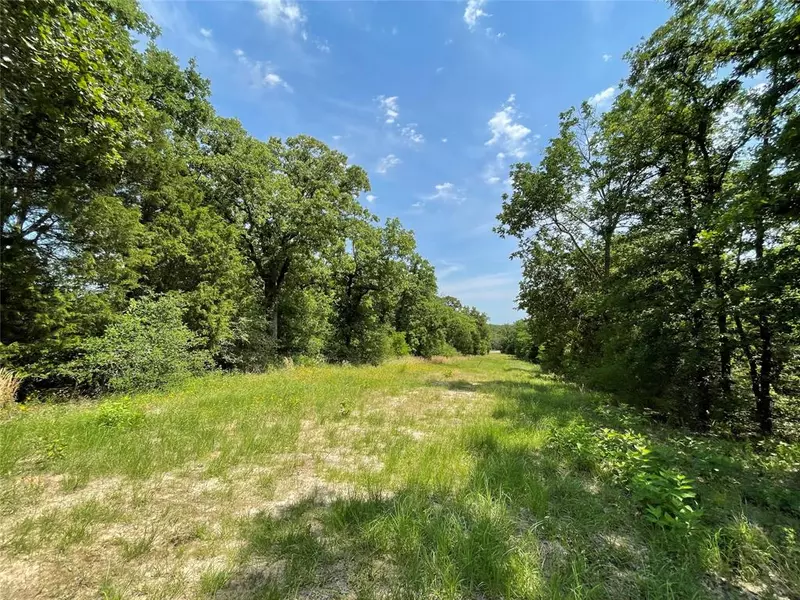 TBD Tract 12 Private Road 207, Fairfield, TX 75840