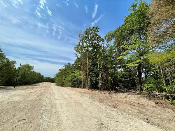 Fairfield, TX 75840,TBD Tract 12 Private Road 207