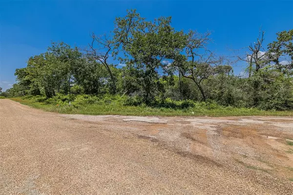 Hempstead, TX 77445,000 Pin Oak DR