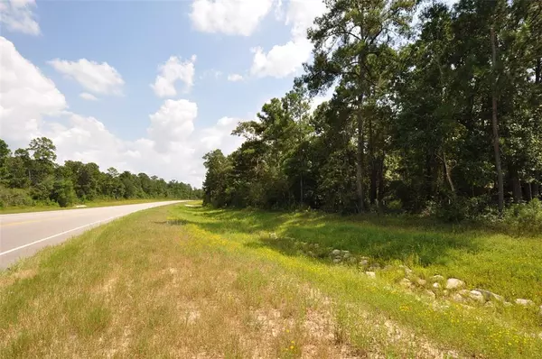 Magnolia, TX 77355,00001 GRAND PINES