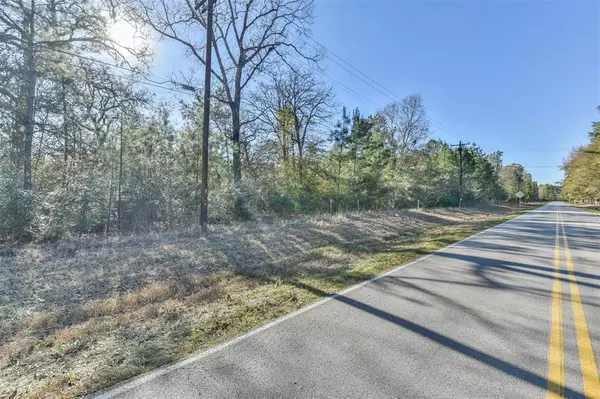 Magnolia, TX 77355,0000 Baneberry RD