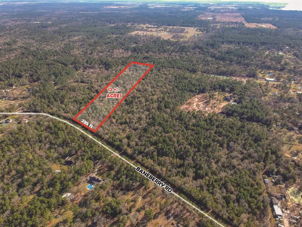 Magnolia, TX 77355,0000 Baneberry RD