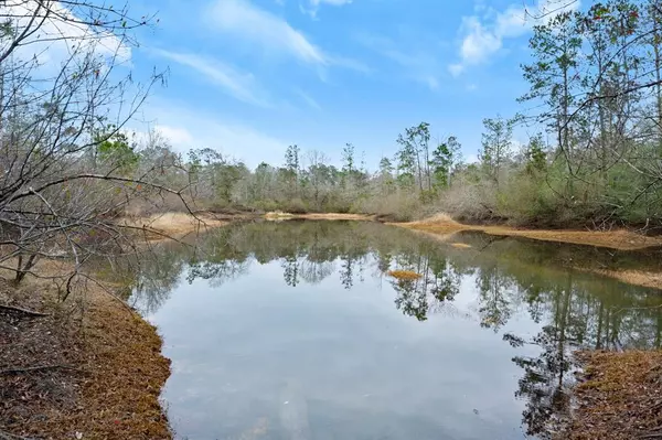 Livingston, TX 77351,000 Huckleberry or Towering Pines