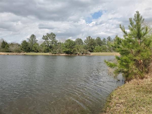 Lot 33 Owl DR, Hempstead, TX 77445