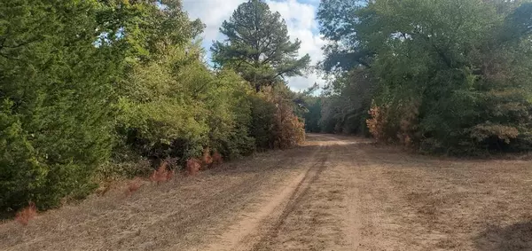 Hempstead, TX 77445,Lot 33 Owl DR