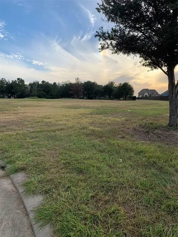 Katy, TX 77493,7302 Palmetto Springs Trail