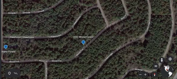 000 Wood Forest, Livingston, TX 77351