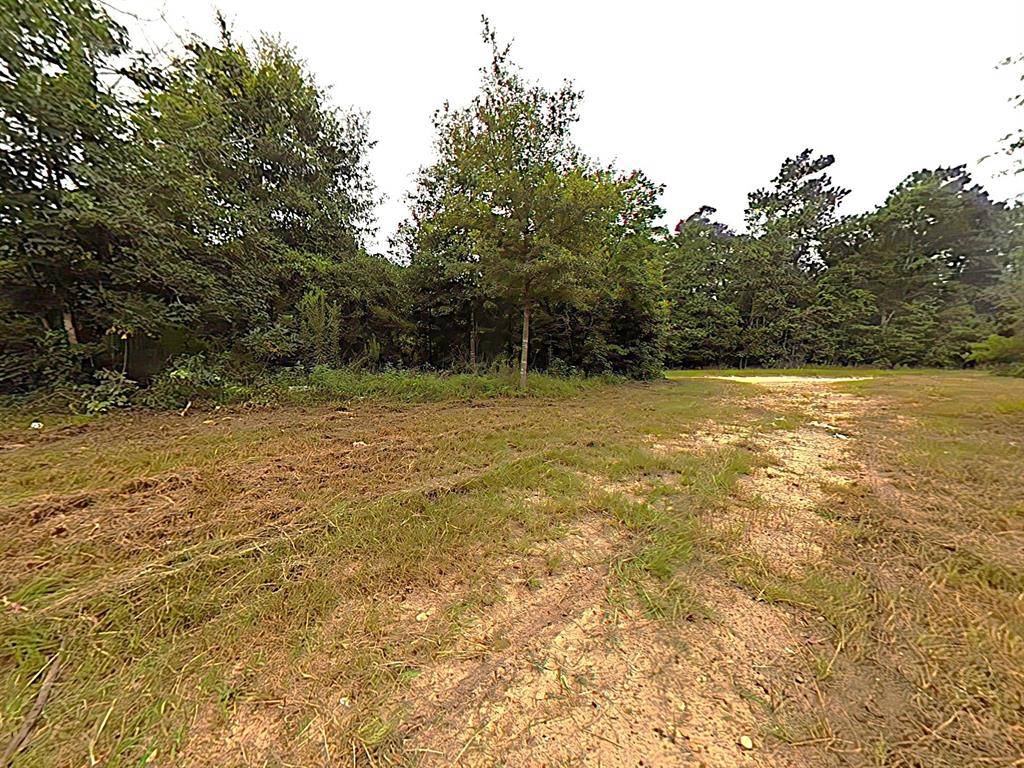 286 Stacy Wiggins DR, Livingston, TX 77351