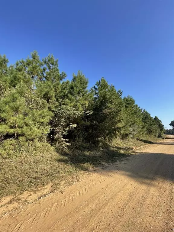 TBD County Road 546 RD, Nacogdoches, TX 75961