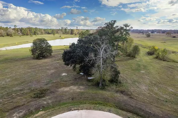 Hockley, TX 77447,2318 Iris Cove CT