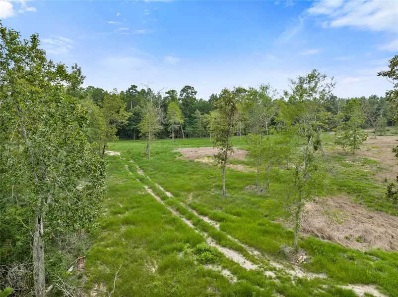 Lot 7 FM 3152 RD, Livingston, TX 77351