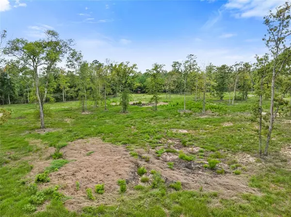 Livingston, TX 77351,Lot 7 FM 3152 RD