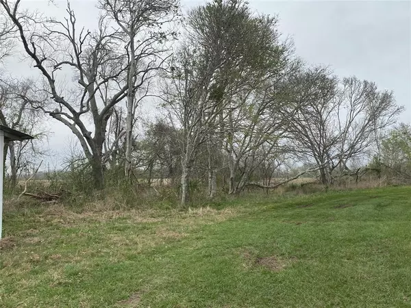 Sargent, TX 77414,TBD Pr 672 Pecan Shadows