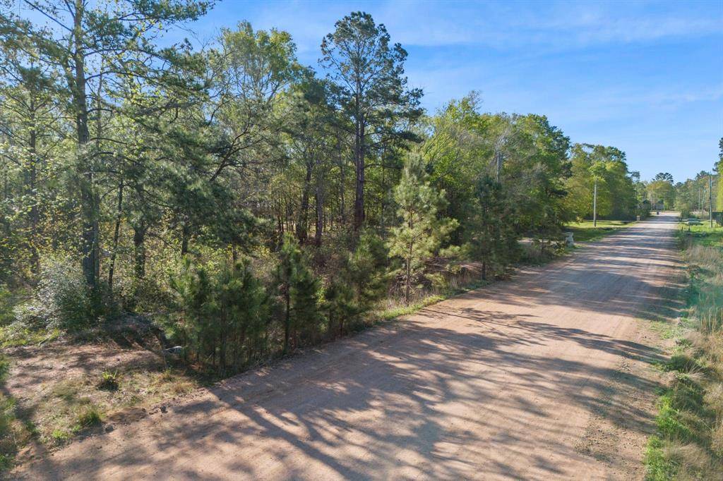 Conroe, TX 77306,3941 Highline Oaks W