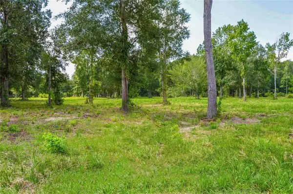 Cleveland, TX 77327,2.24 AC HWY 321