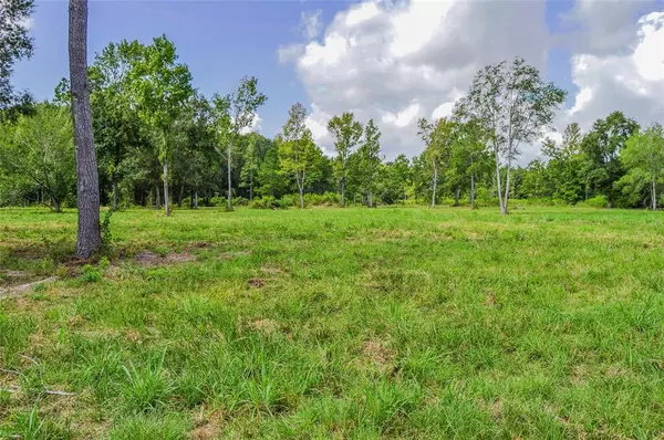 Cleveland, TX 77327,2.24 AC HWY 321