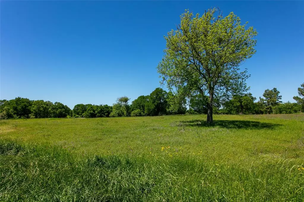 Caldwell, TX 77836,Lot 24 Brazos CT